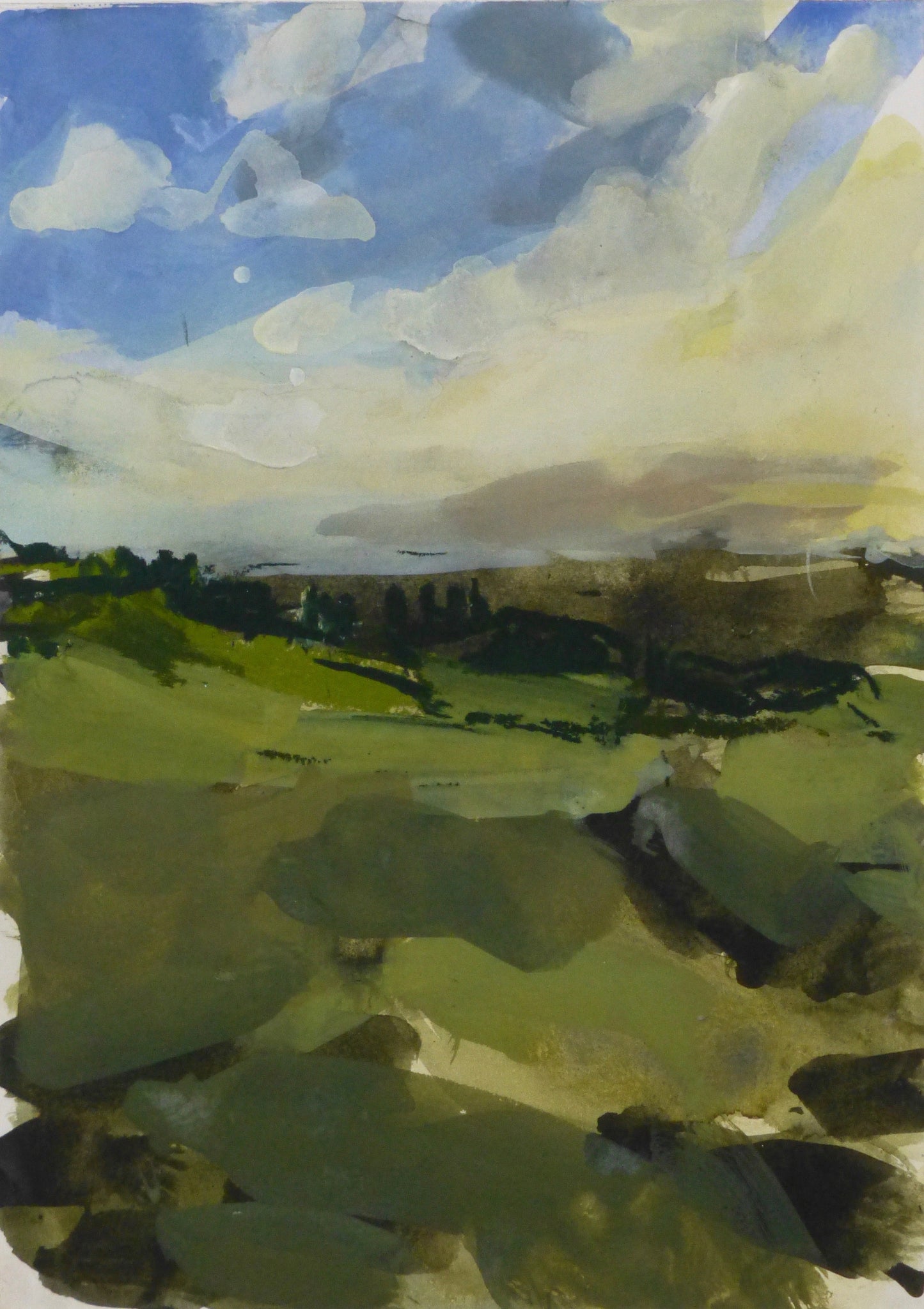 Across the fields, Somerset, April