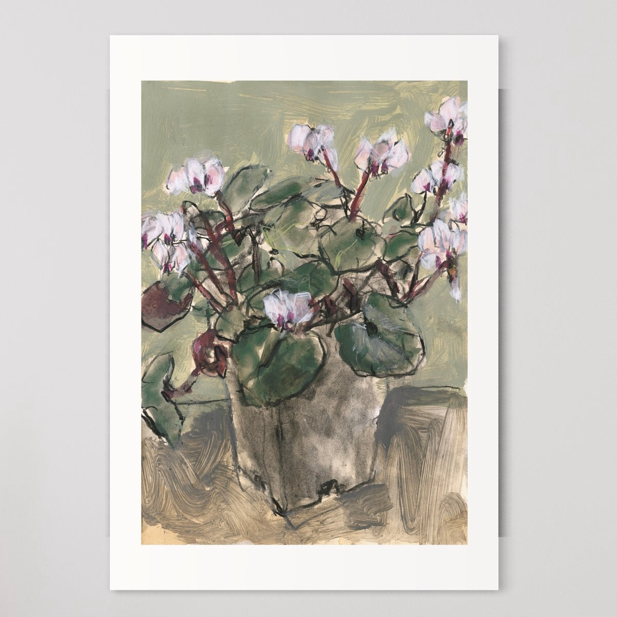 Cyclamen