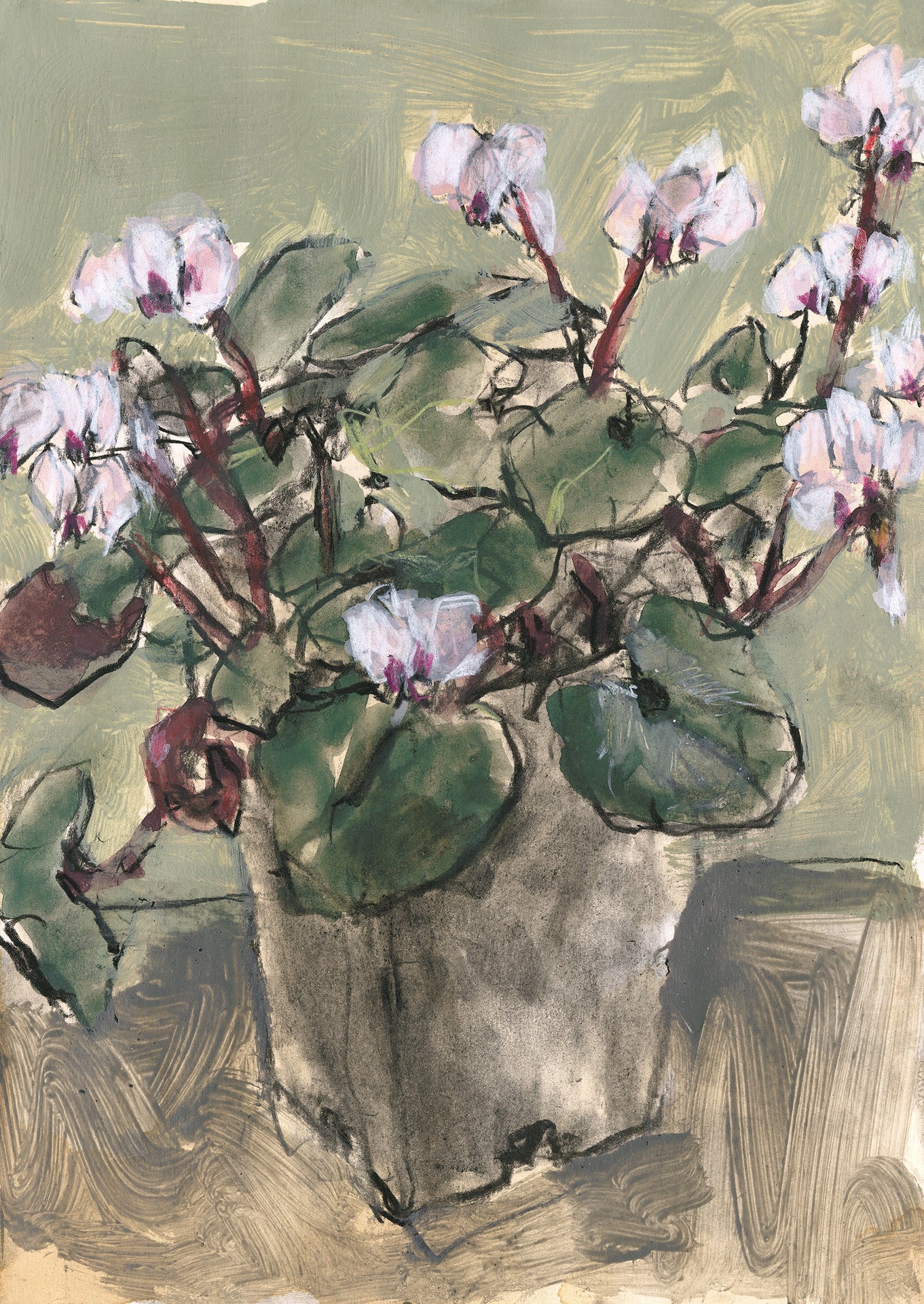Cyclamen