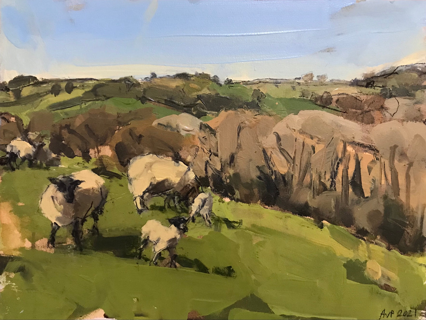 Sheep, Easter Sunday, Dorset (sold)