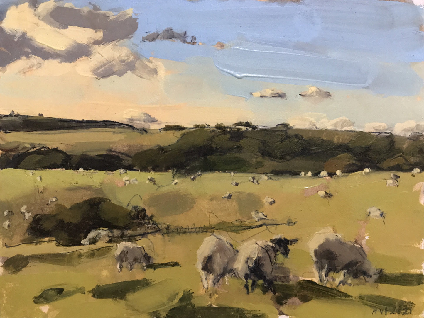 Sheep, South Downs, October