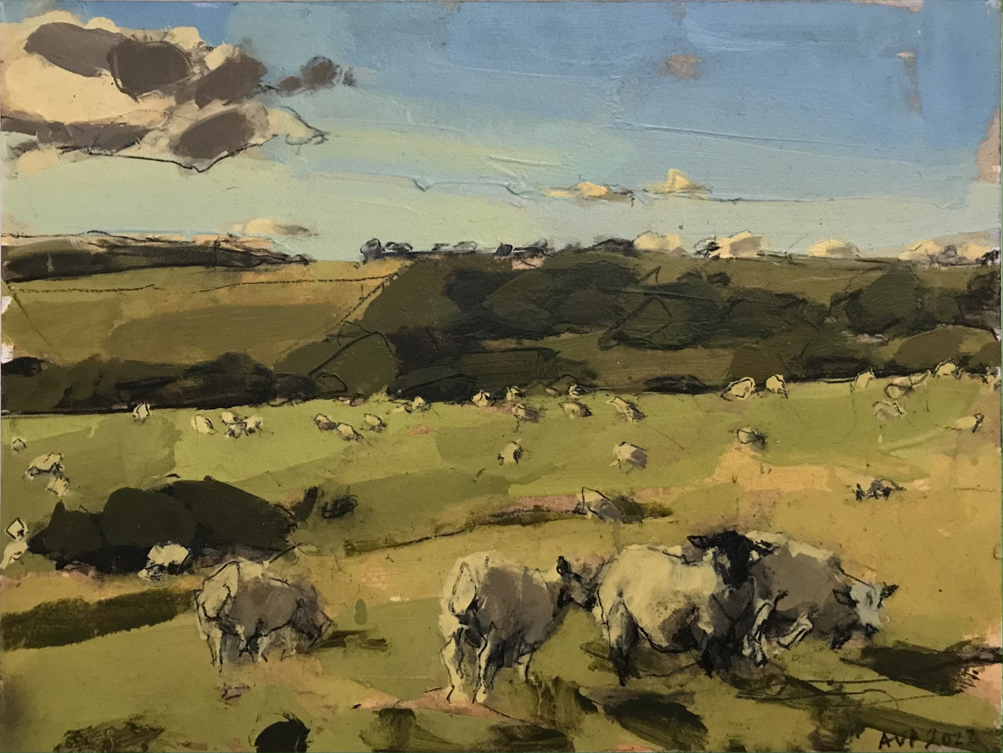 Sheep, South Downs, October IV