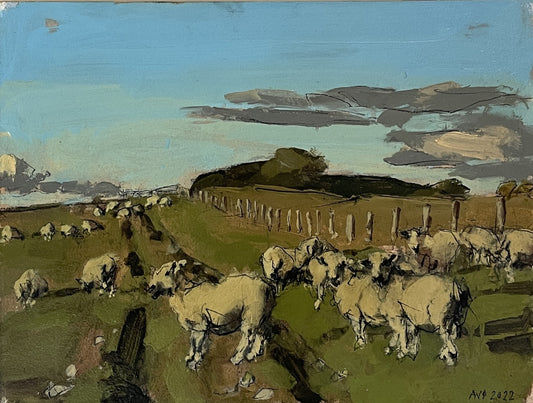 Sheep, South Downs, October V