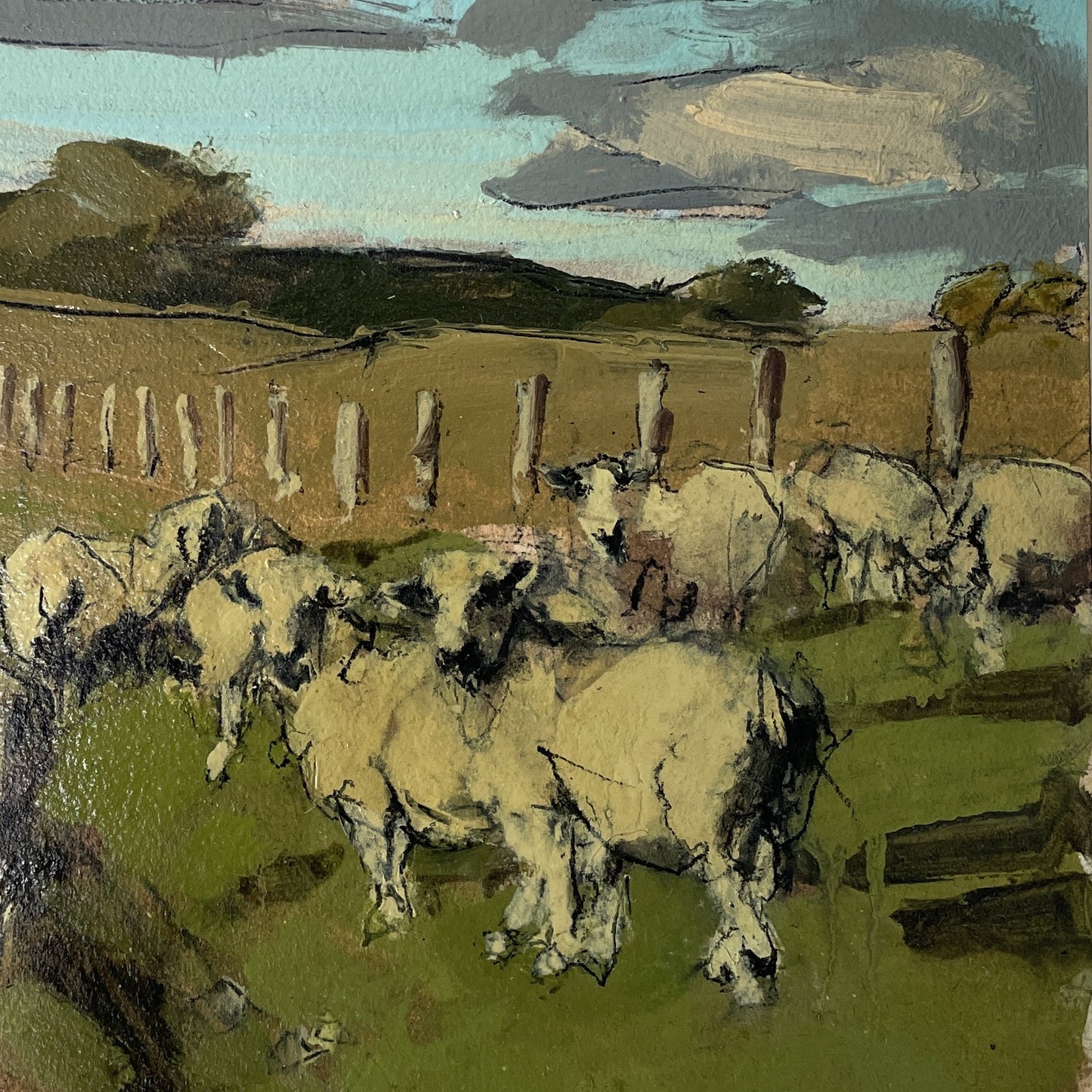 Sheep, South Downs, October V
