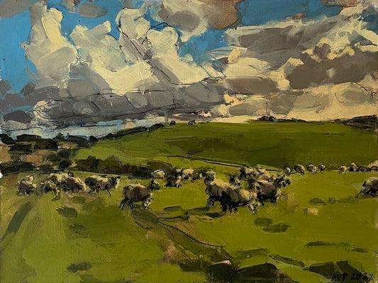 Sheep, South Downs, September III