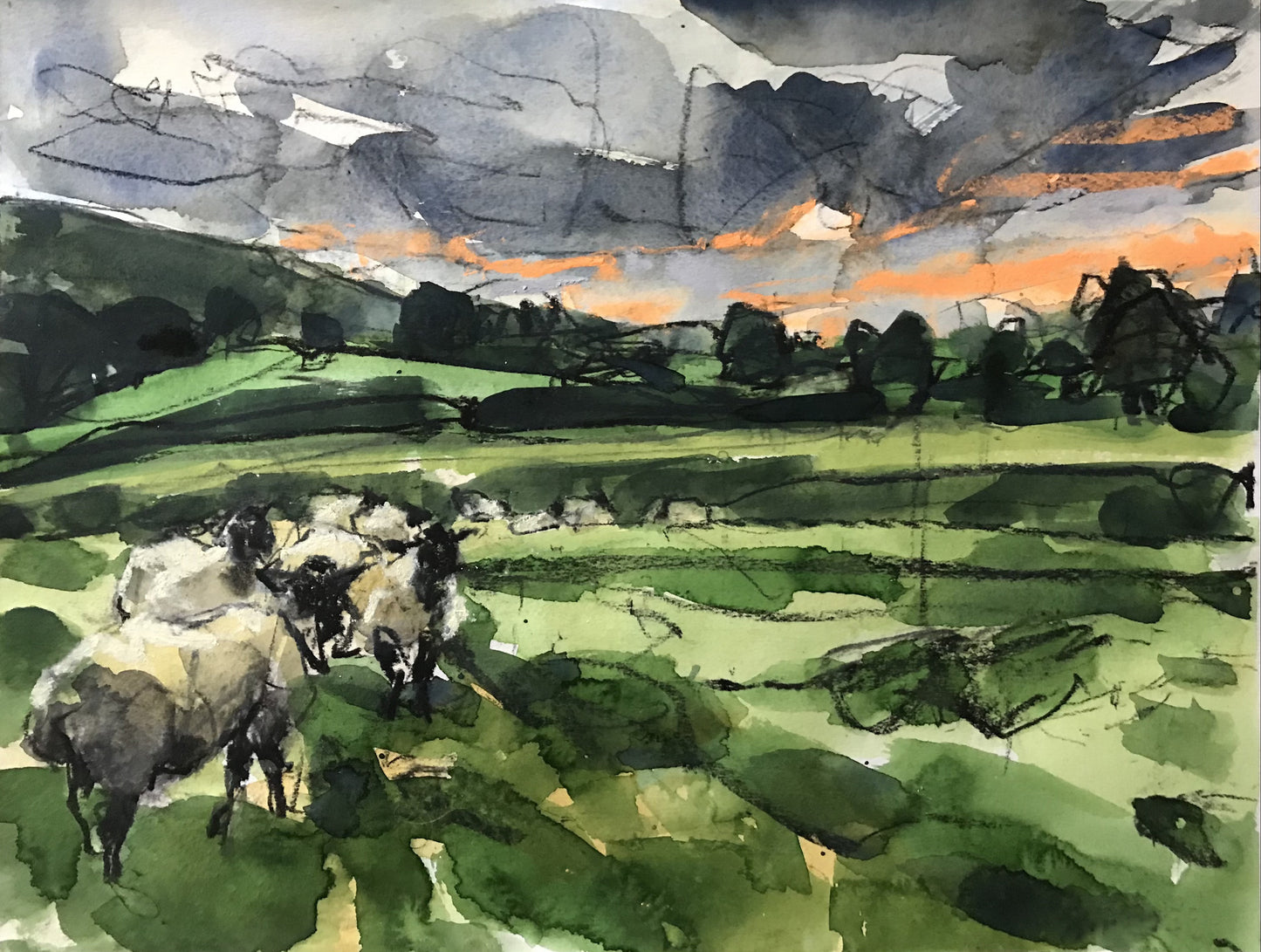 Sheep at sunrise, Gloucestershire, October