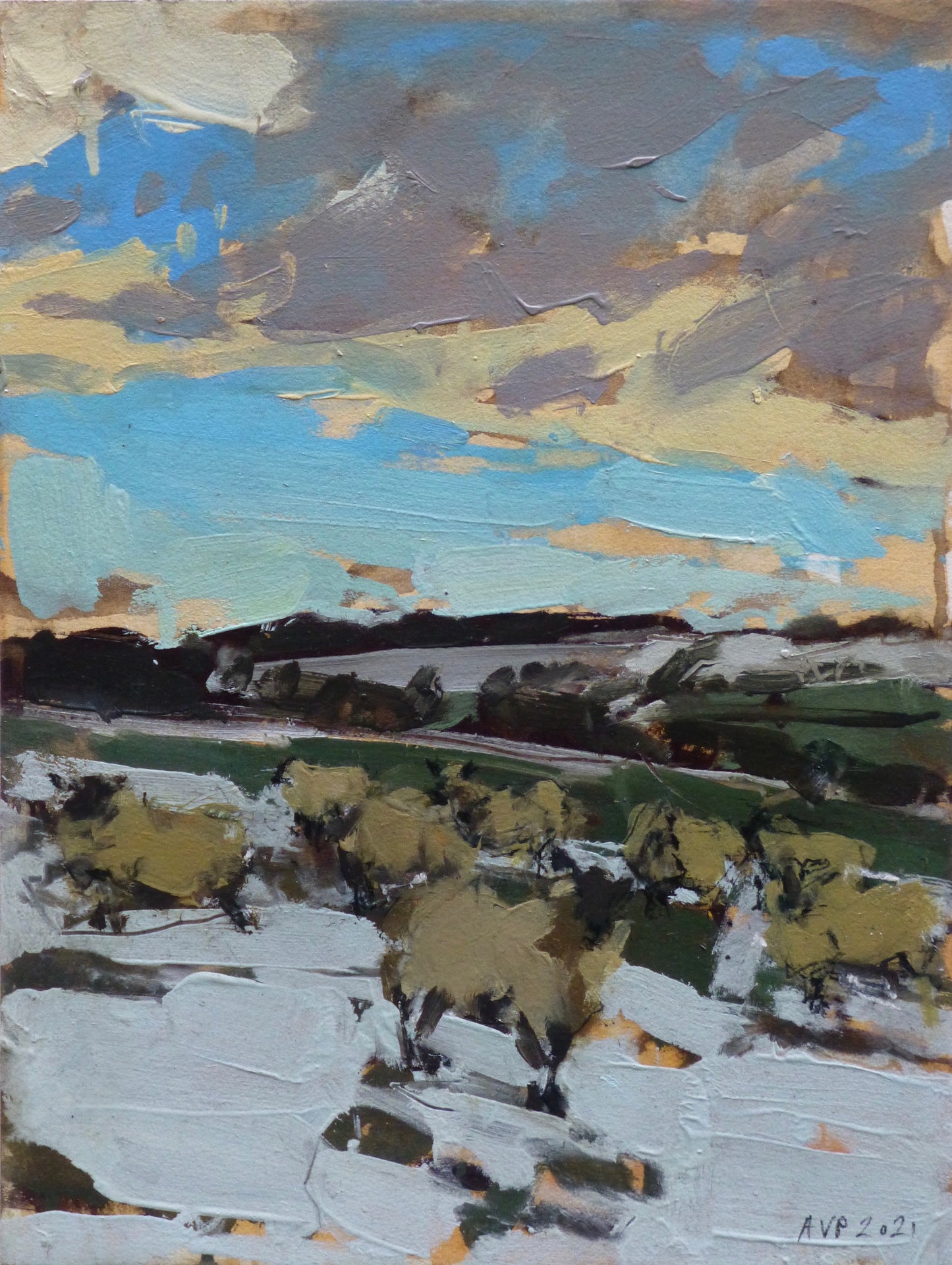 Sheep in snow, Somerset, January