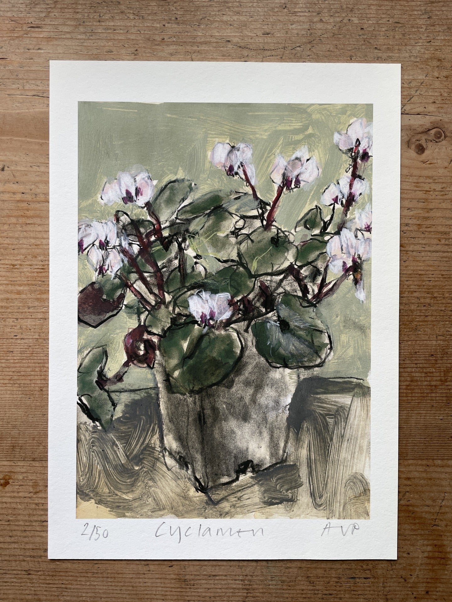 Cyclamen