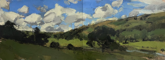 Cambrian Mountains, Wales, August II