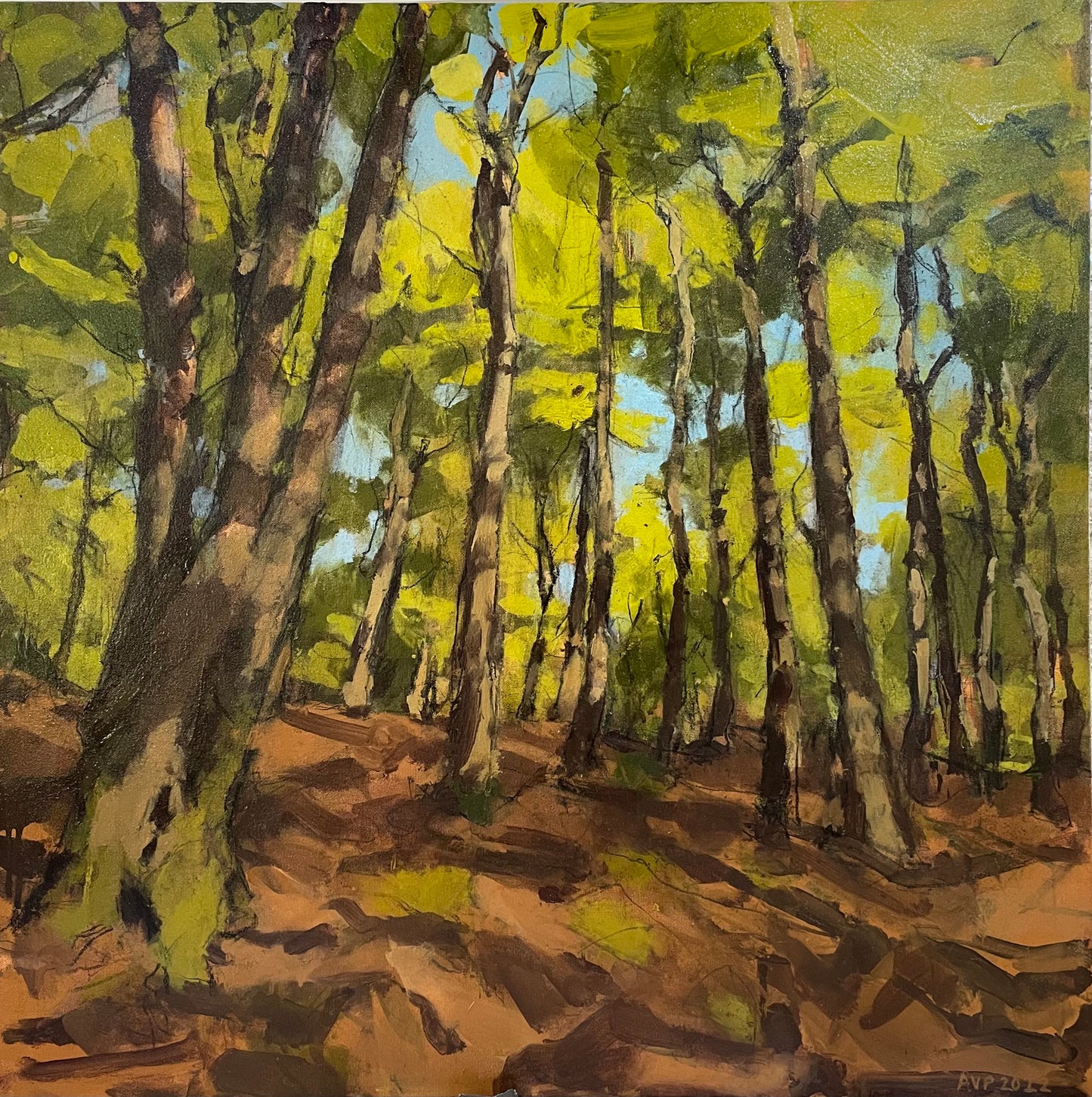 Beacon Hill Wood, Spring