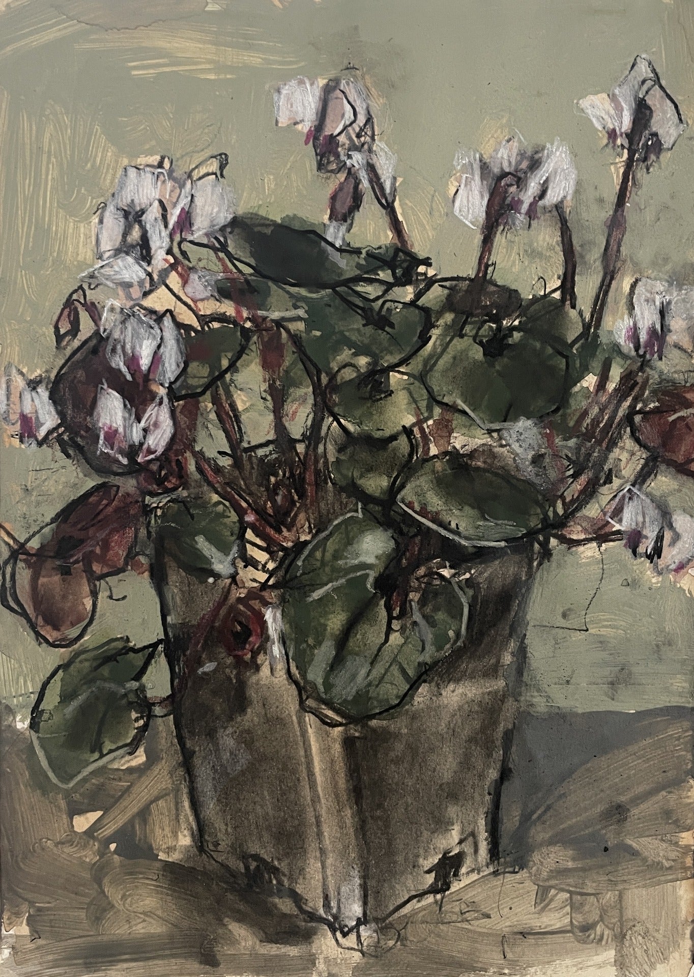 Cyclamen III