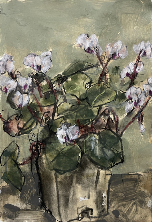 Cyclamen II