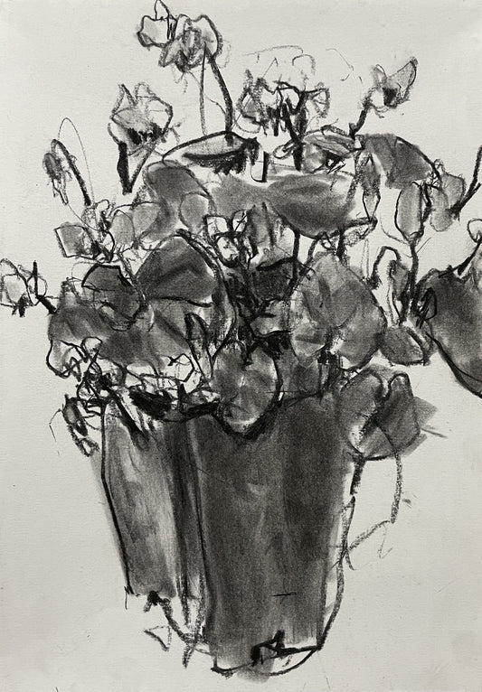 Cyclamen