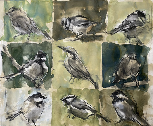 Nine garden birds study