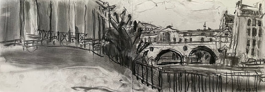 Pulteney Bridge from Parade Gardens, Bath, May