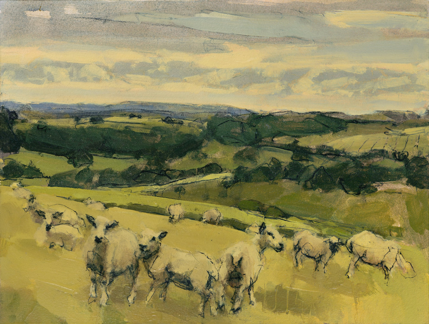 Sheep, South Downs, last day of June