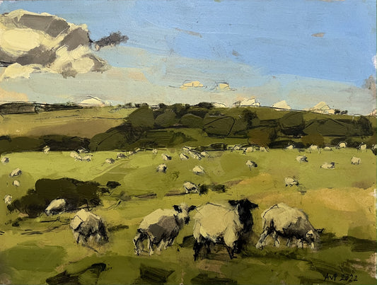 Sheep, South Downs, October III
