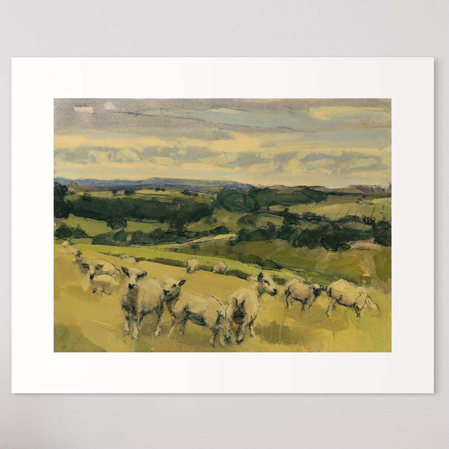 Sheep, South Downs, last day of June