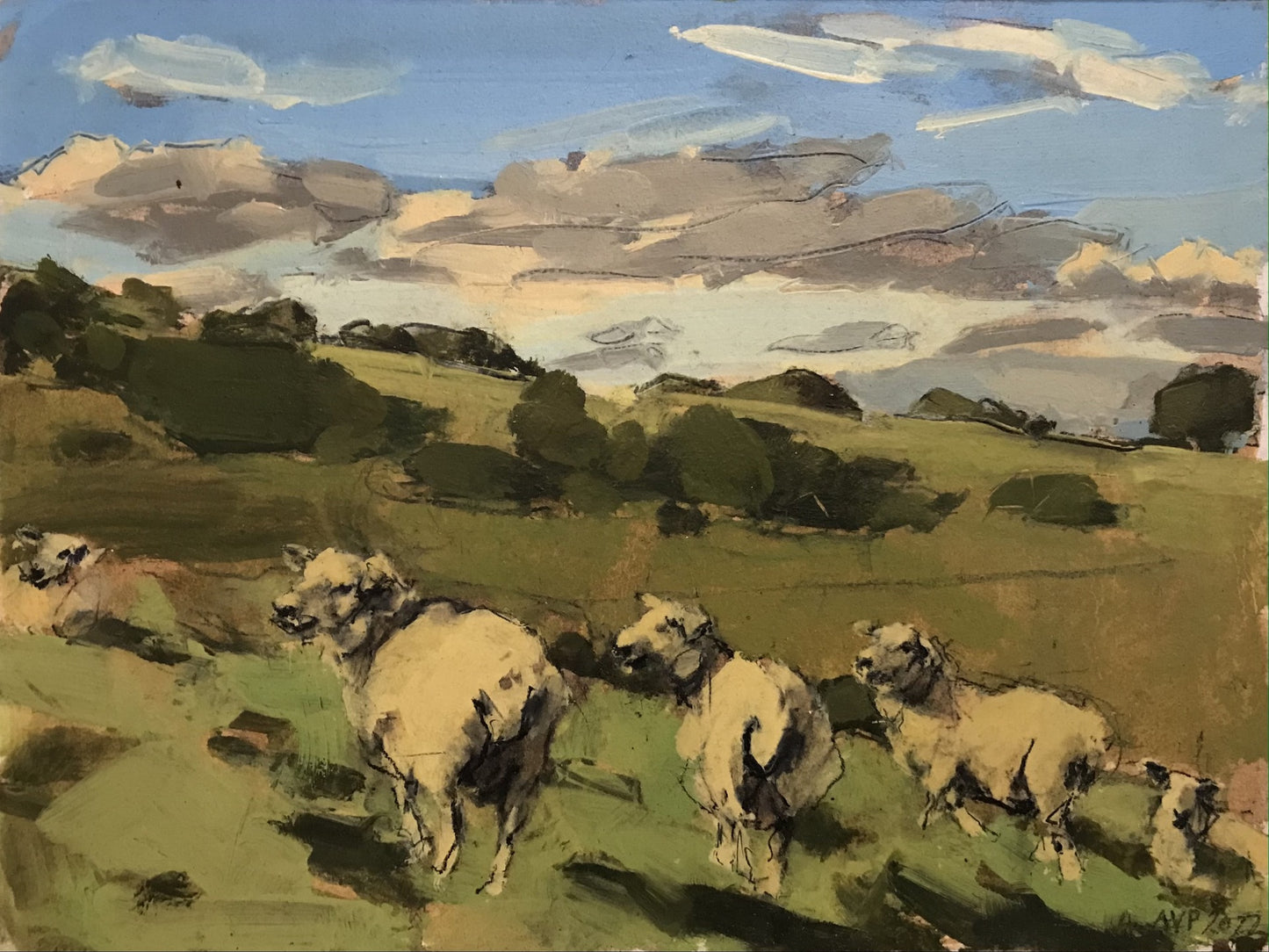 Sheep, South Downs, September II