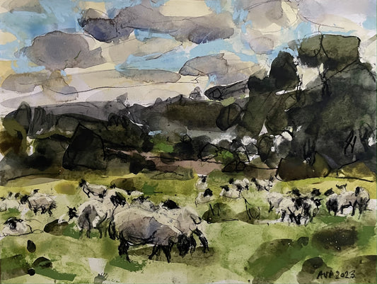 Sheep, early morning in Gloucestershire, October