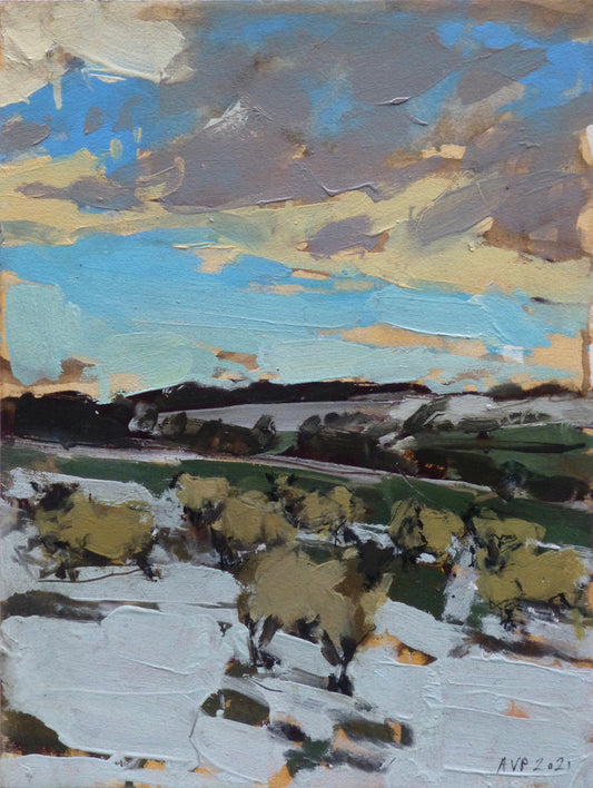 Sheep in snow, Somerset, January