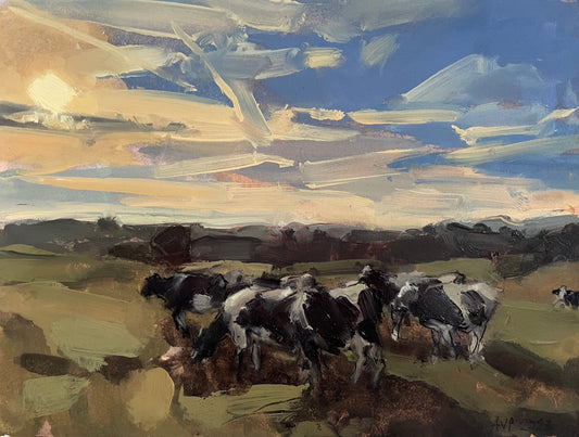 Somerset cows, early morning, July (sold)