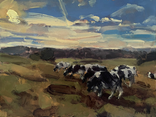 Somerset cows, early morning, July III