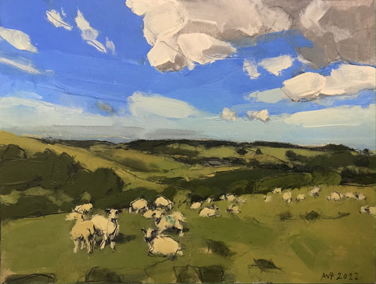 South Downs, June II