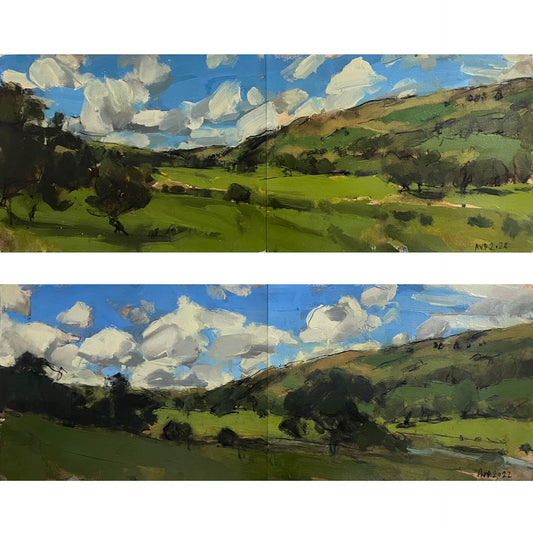 Cambrian Mountains, Wales, August I & II