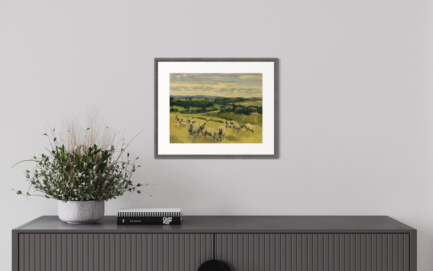 Sheep, South Downs, last day of June