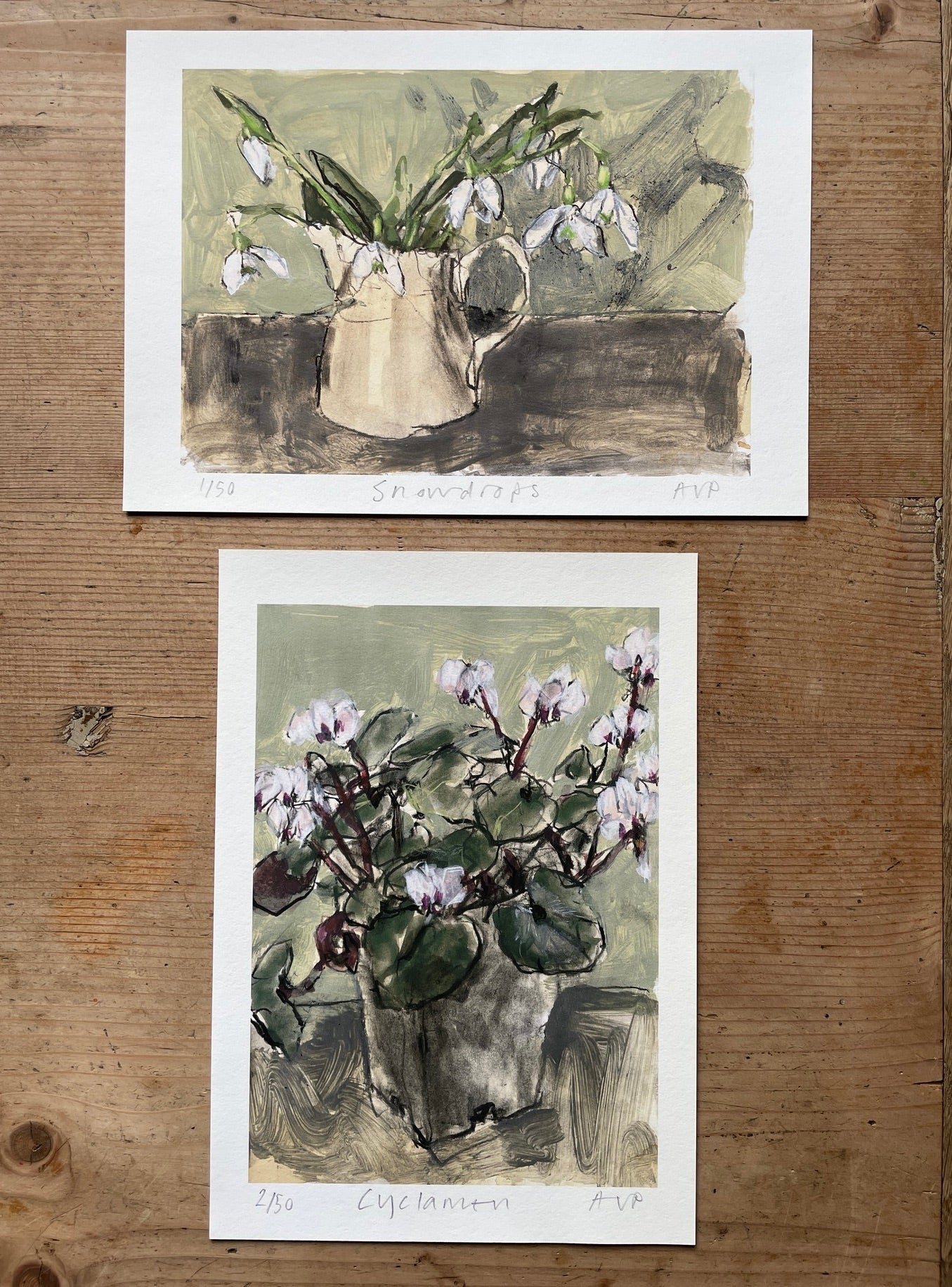 Cyclamen